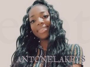 ANTONELAKEYS