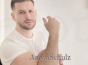 AaronSchulz