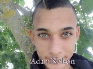 Adam_Nelson