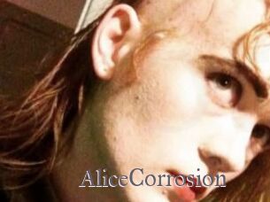AliceCorrosion