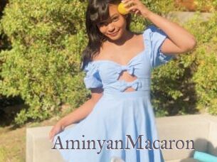AminyanMacaron