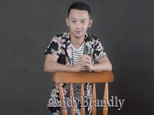 AndyBrandly