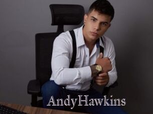 AndyHawkins