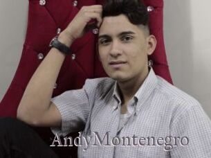 AndyMontenegro