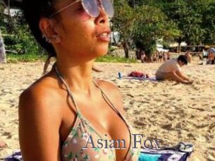 Asian_Fox
