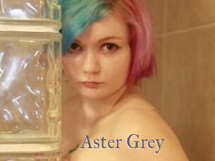 Aster_Grey