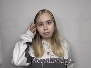 Accadavidge