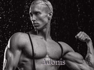 Adonis