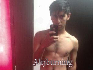 Alejburning