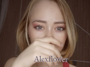 Alexflower