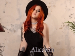 Alicewin