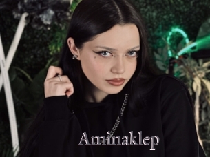 Aminaklep