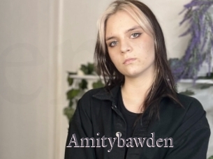 Amitybawden