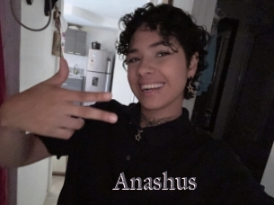 Anashus