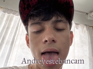 Andreyestebancam