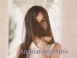 Andrianamartinis