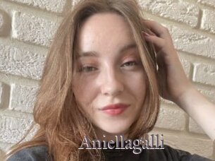 Aniellagalli