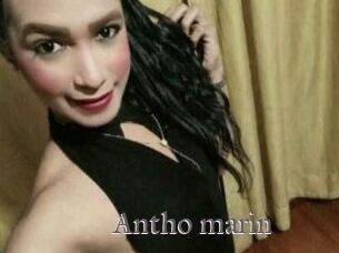 Antho_marin