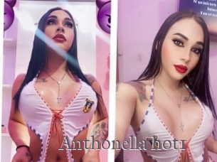 Anthonella_hot1