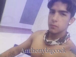 Anthonybigcock