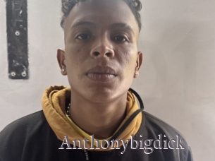 Anthonybigdick