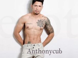 Anthonycub