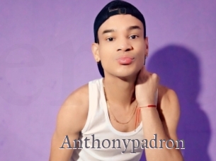 Anthonypadron