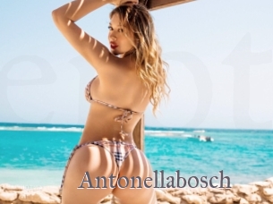 Antonellabosch