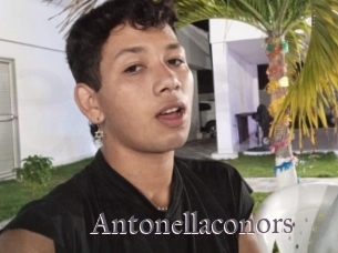 Antonellaconors