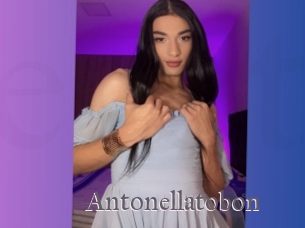 Antonellatobon