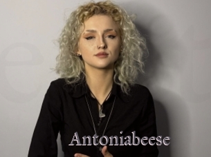 Antoniabeese