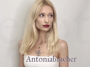 Antoniabracher