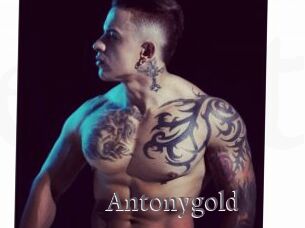 Antonygold