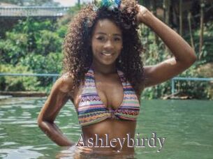 Ashleybirdy