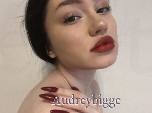 Audreybigge