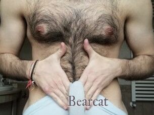 Bearcat