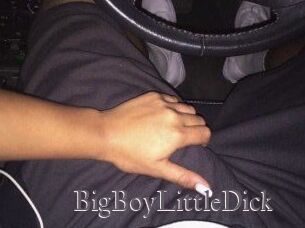 BigBoyLittleDick