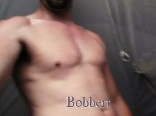 Bobbert