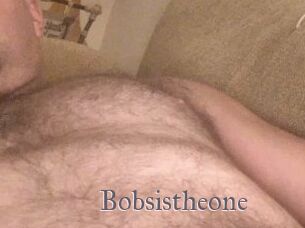 Bobsistheone