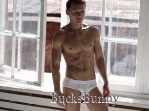 BucksBunny