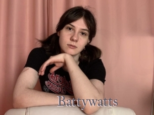 Battywatts