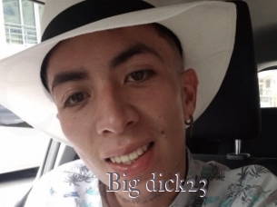 Big_dick23