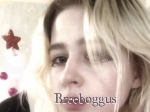 Breeboggus