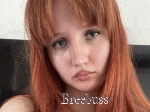 Breebuss