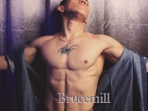 Brucemill