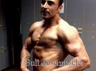 Bull_dosemuscles