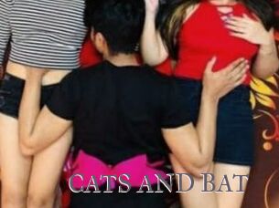 CATS_AND_BAT