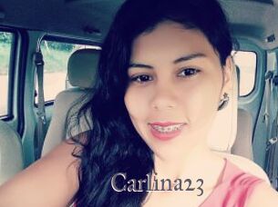 Carlina23