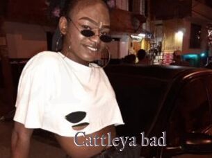 Cattleya_bad