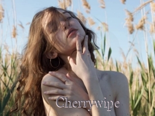 Cherrywipe